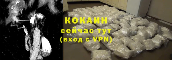 твердый Богородицк