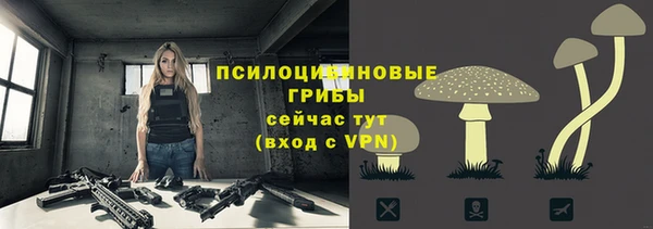 мескалин Богданович