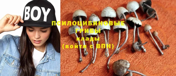 твердый Богородицк