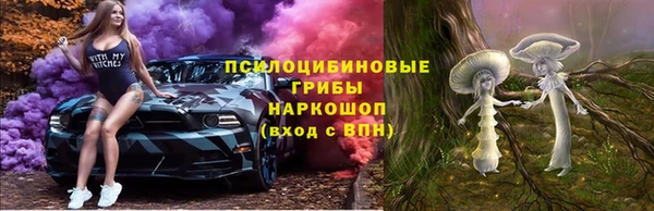 твердый Богородицк