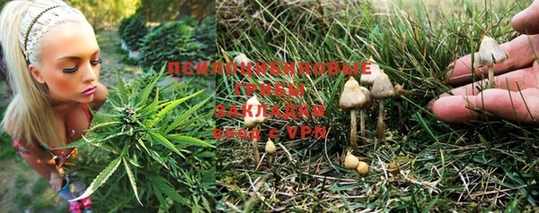 прущая мука Богородск